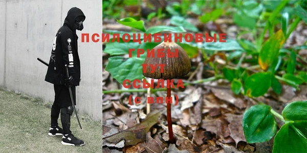 СК Алексеевка